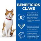 Hill’s Young Adult Science Plan Sterilized Frango saqueta para gatos, , large image number null